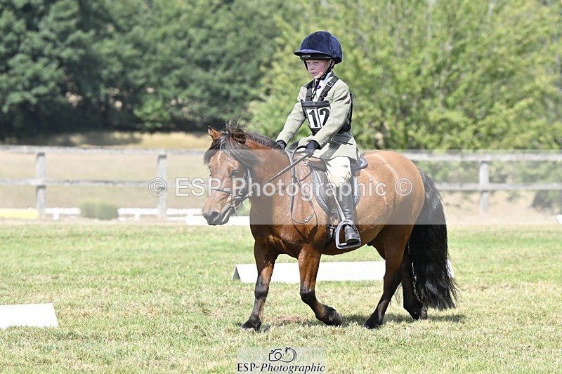 250822A-115823-22498 - DR 11.00 to 12.00