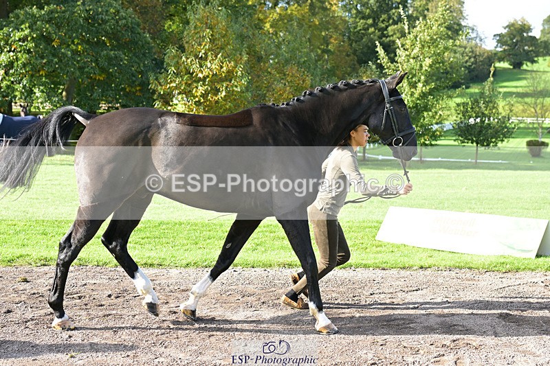 241023-130508-00058 - 052-Lydia.Heywood-JUST.THE.BISCUIT