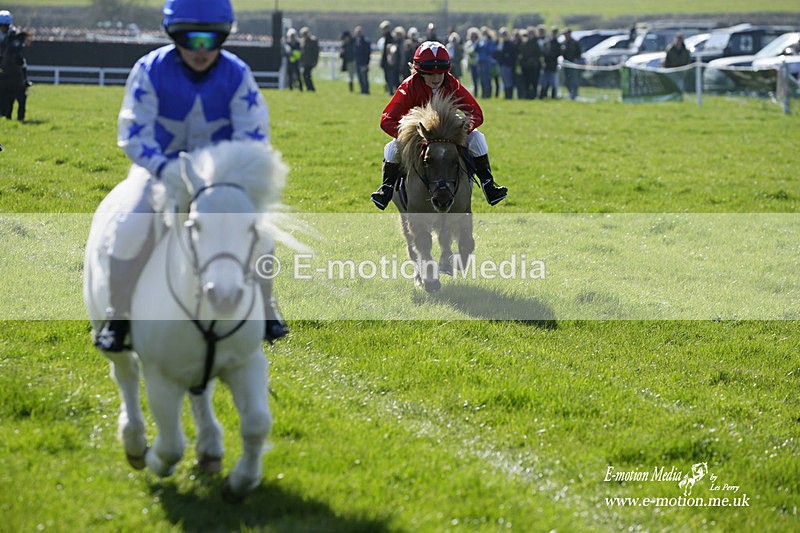 PtP 190322 23 - Wilton Hunt PtP Milborne St Andrew 19/03/22