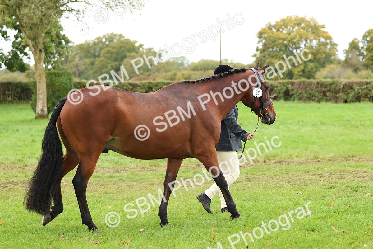 SBM_41691 - S26 - Mature Veteran In Hand