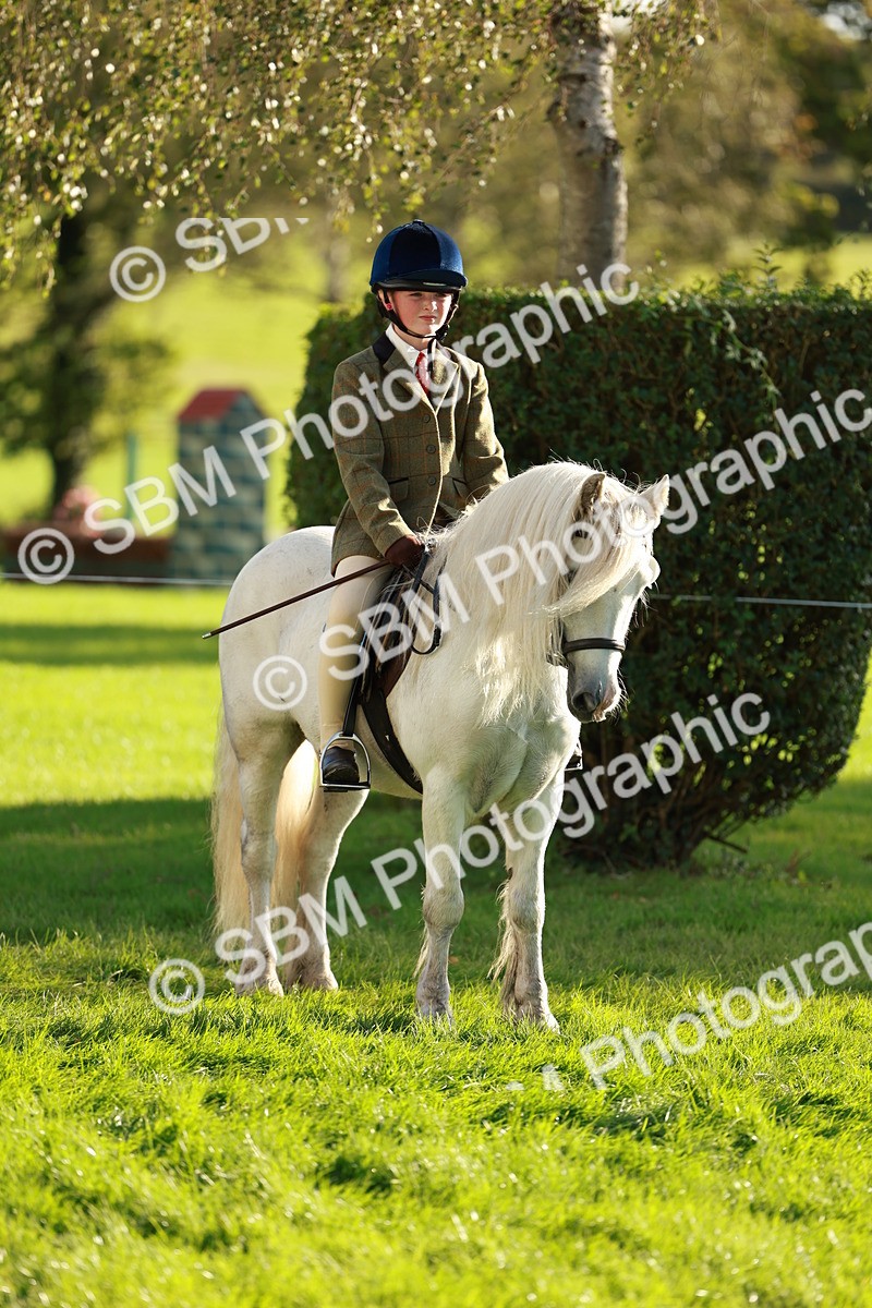 SBM_28696 - S7 - Novice & Newcomer Ridden Pony