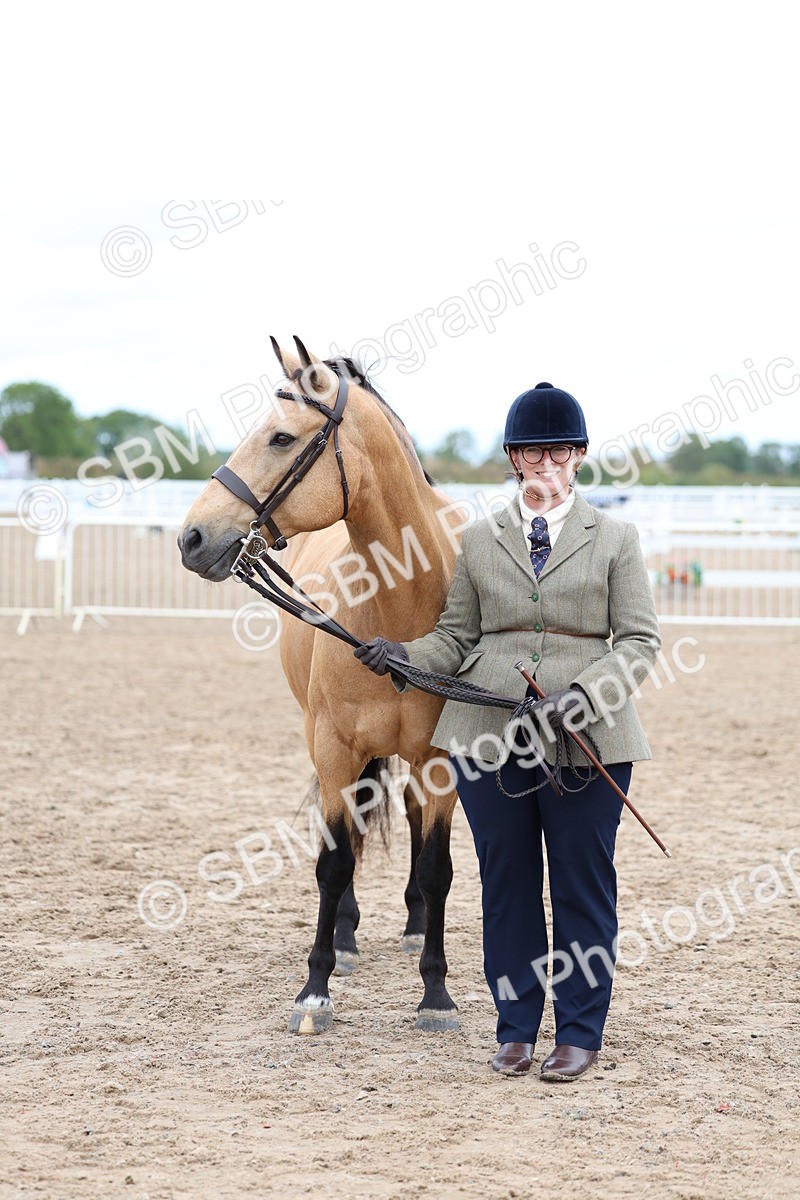 SBM_01470 - Class 17 - Prettiest Mare