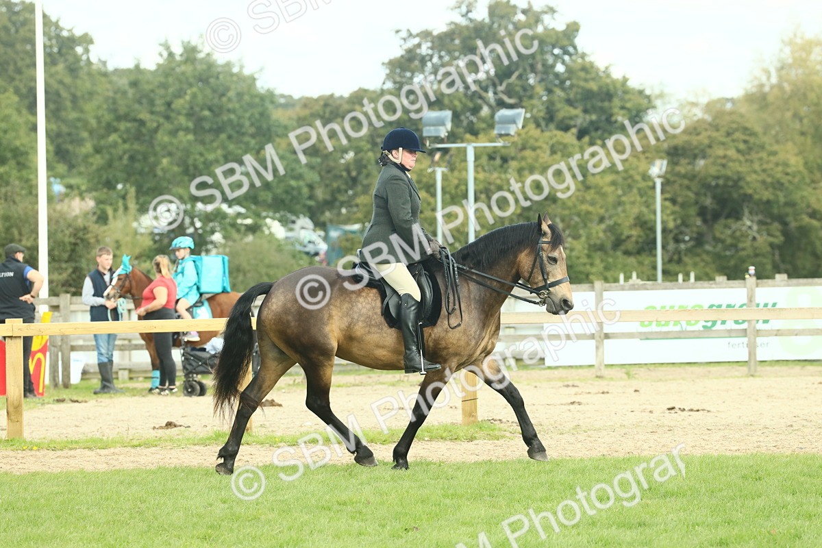 SBM_62626 - S63 - Other Coloured Horse Ridden