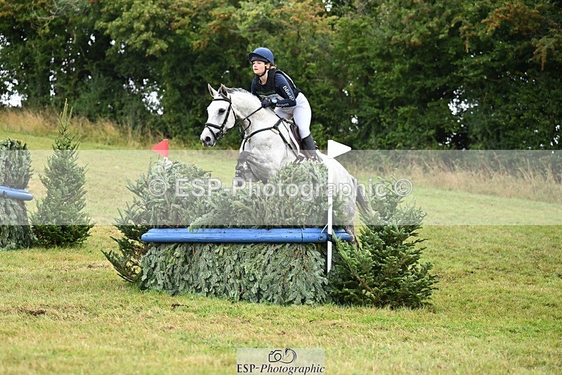 TS_b2237696 - SAT BE 90 Recovered Files fence 8