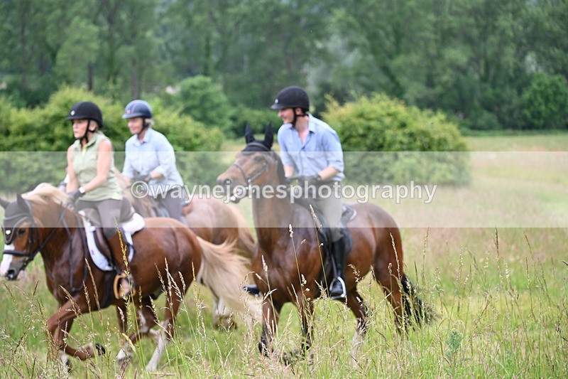 WJ6_8466 - Camera 1 Gallops
