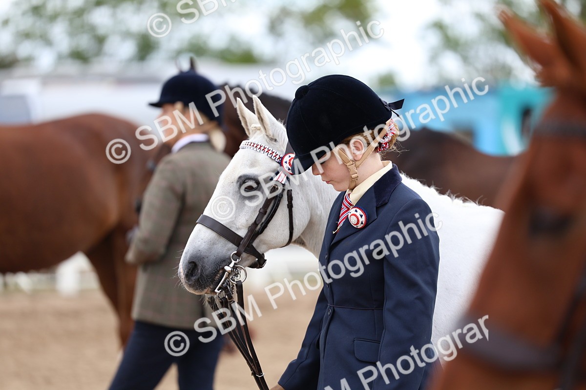 SBM_05122 - Class 27 - IH Competition Horse or Pony