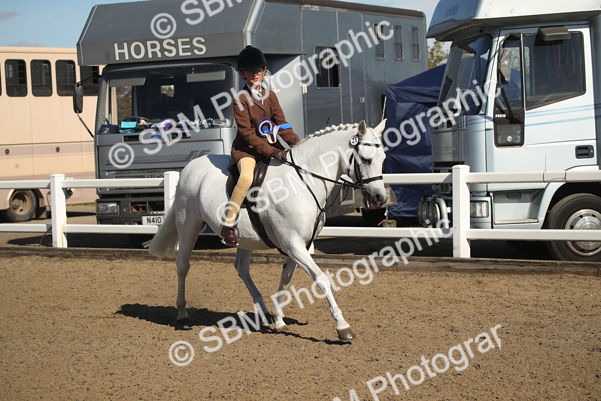 SBM_12798 - Class 504b - Junior Working Veteran - 40cm (20+)