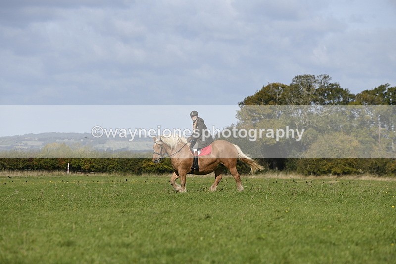 _DSC6358 - Time 11:23 to 12:05