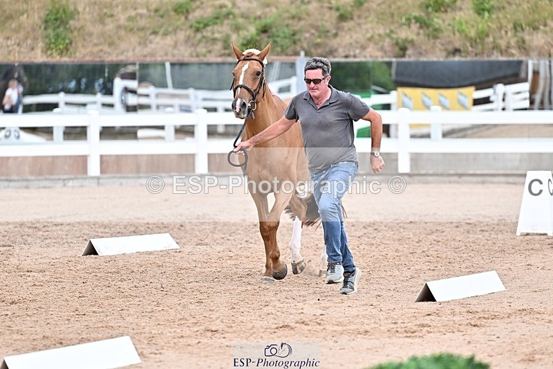 250716-164056-00734 - Trot Up 4.30 to 5.00