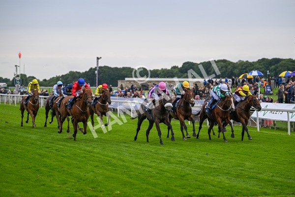 120724-Race 2-Flora Of Bermuda-5814 - Race 2 2.40pm William Hill Summer Stakes