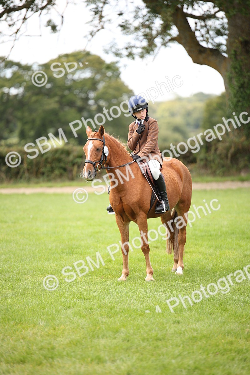 SBM_42353 - S13 - Pony Club Pony