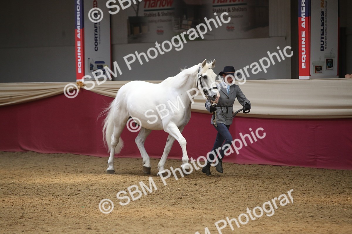 SBM_05560 - Class 9R - Regional IH Pre-Vet