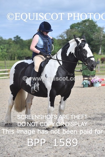 BPP_1589 - DERBY CLASS 3 - 40CM