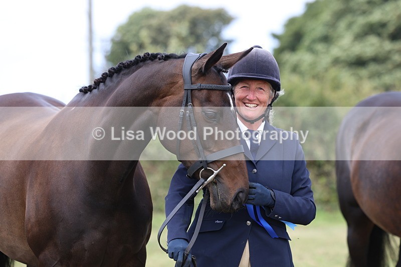 3E7A5583 - Class 20: Sports Horse In Hand