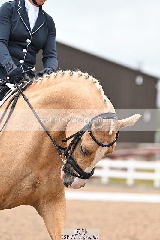 250705-175527-02697 - N1 Section BDNOV1 1350 to 15.28