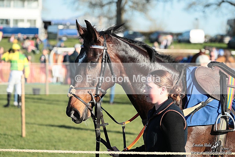 PtP 210326 1160 - VWH Cirencester Races 21/03/26