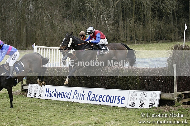 PtP 110318 141 - Hampshire Hunt Point-to-Point Hackwood Park 11/03/18