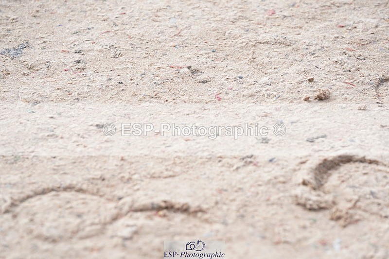 250425-095558-08402 - Cls 30 Young Horse 6yr old