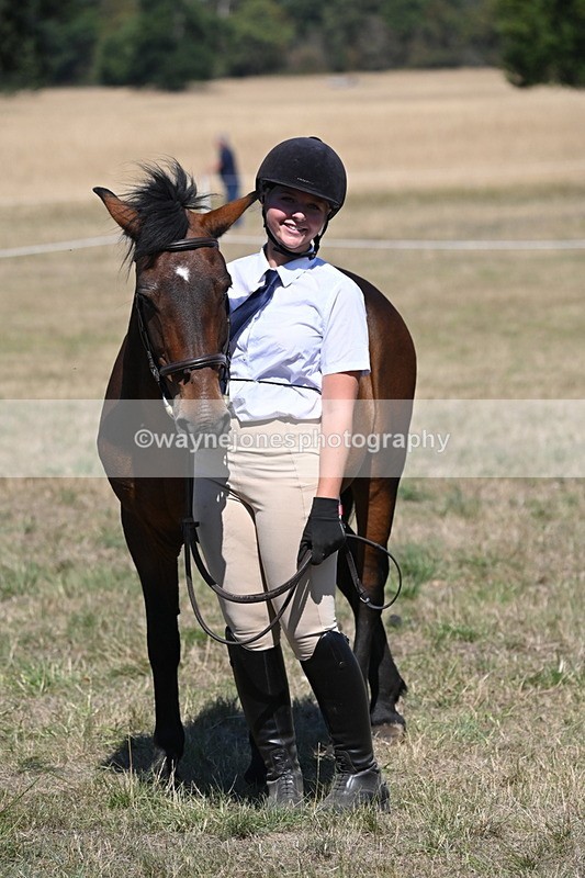 WJ6_8697 - Class 37b Best Loan Pony In-hand