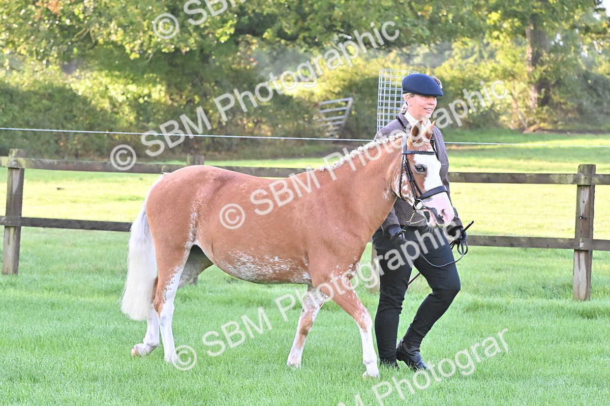 SBM_32537 - S15 - Top Turnout In Hand