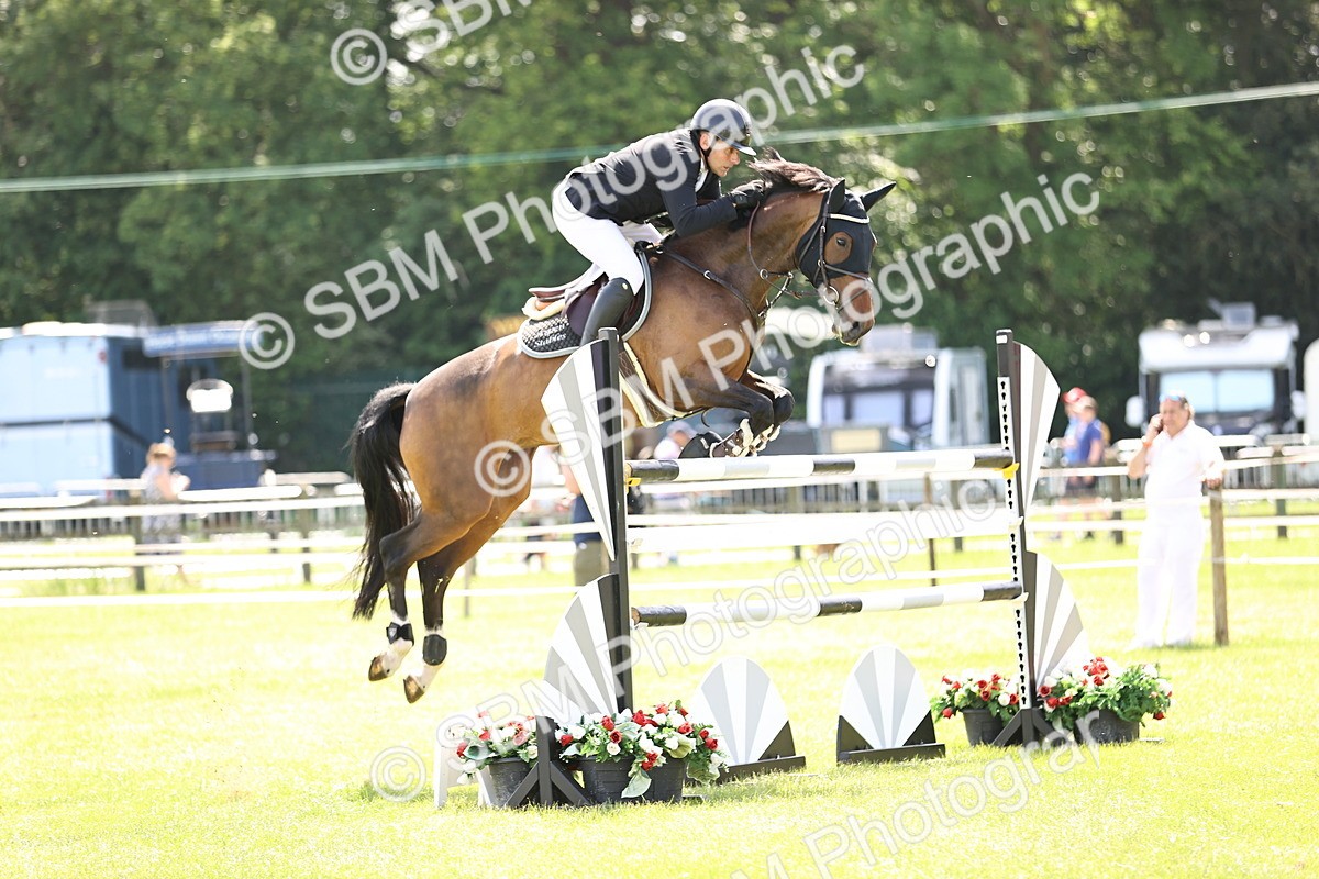 SBM_04035 - Class 201 - British Horse Feedds Speedi Beet HOYS Grade C