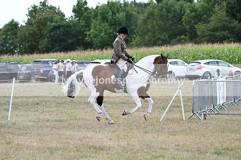 WJ7_5217 - Class 12 Ridden Cob