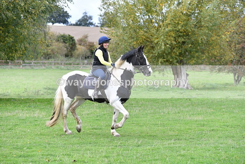 WJ5_0981 - Time 14:29 to 15:31