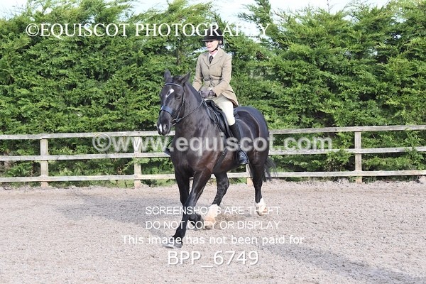 BPP_6749 - RING 1  (RIDDEN HORSES / IN HAND / VETERAN ETC)