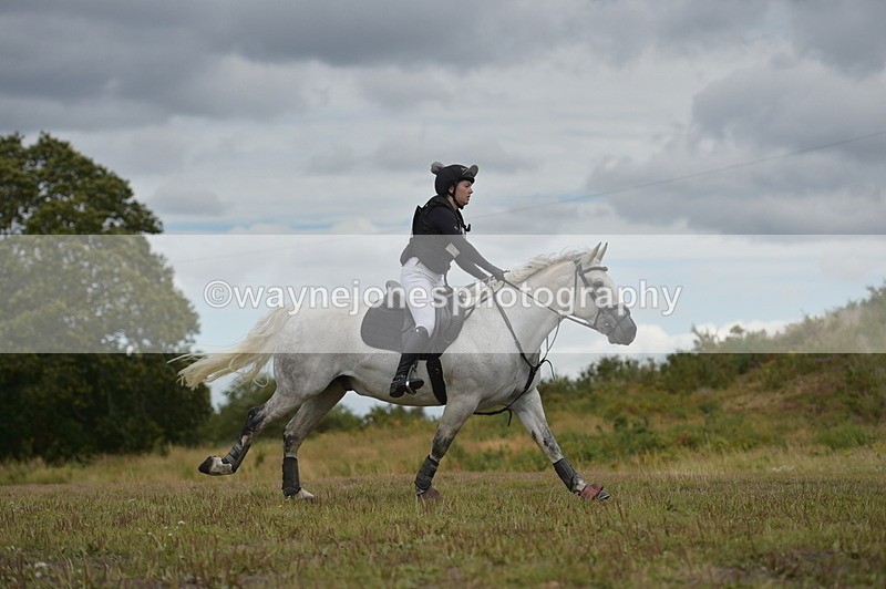 NGP_1917 - XC Time 11:20 to 11:36