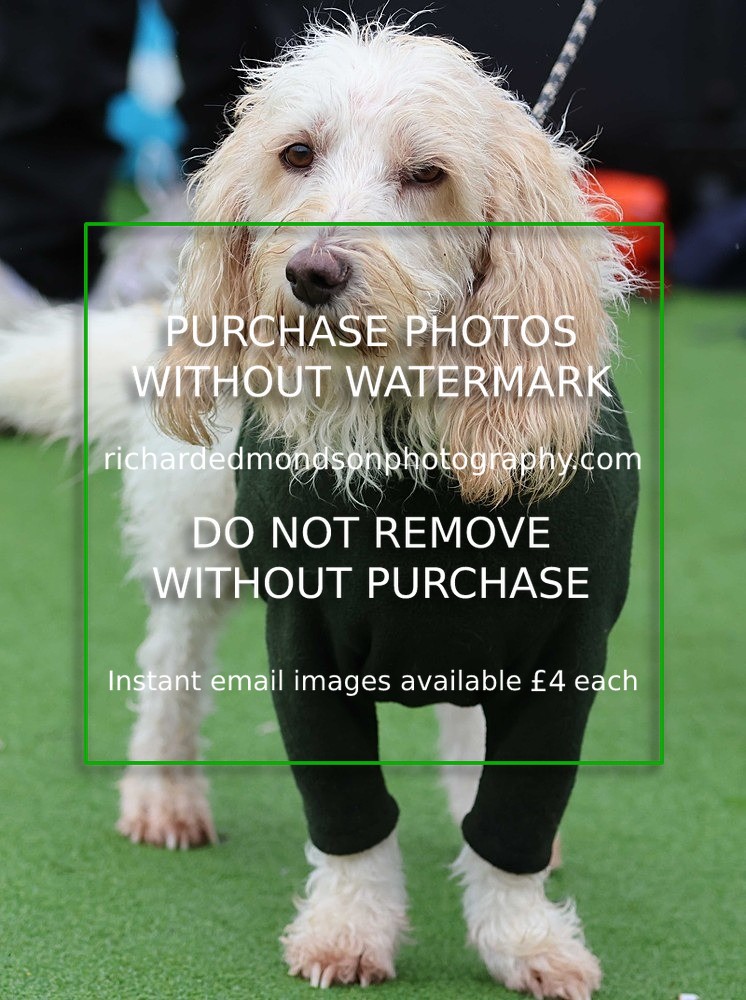 533A1501 - Ambleside Hockey vs Keswick Hockey (20/9/25)