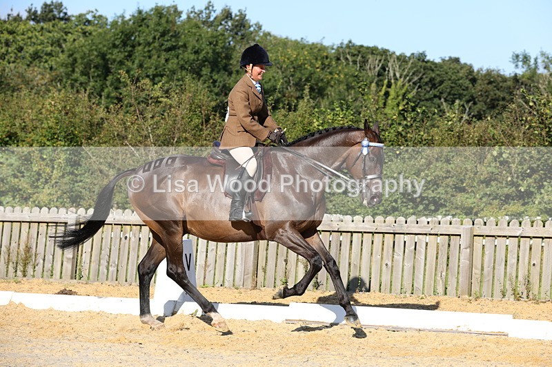 1X9A7567 - Class 7: Novice Ridden Hunter/Hack/Cob/Riding Horse
