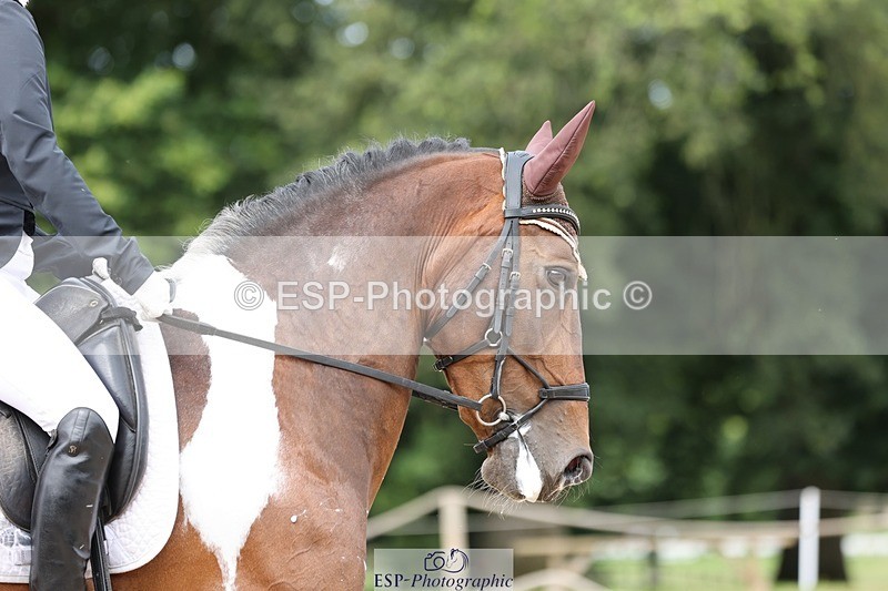 240721-114028-08399 - 236-Lorraine_Morris-Lissyegan_coloured_lady