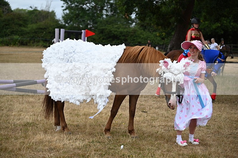 WJ6_8755 - Class 11 Fancy Dress