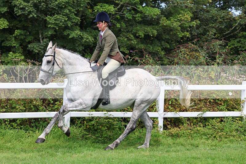 3E7A8724 - Class 5: Working Show Horse