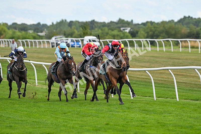 270825-Race 5-Glory Fighter-6436 - Race 5