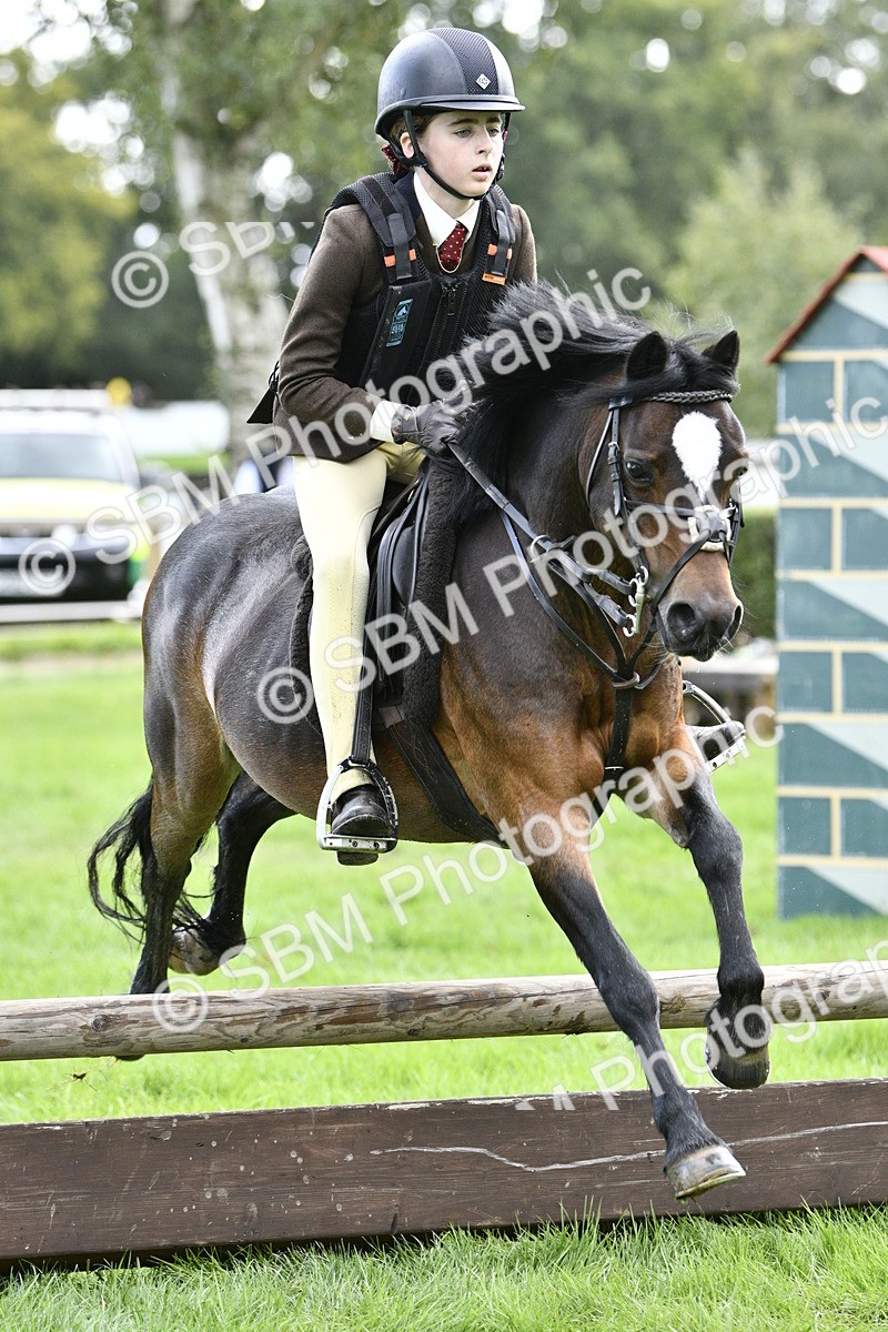 SBM_41272 - S32 - Mountain & Moorland Working Hunter Pony