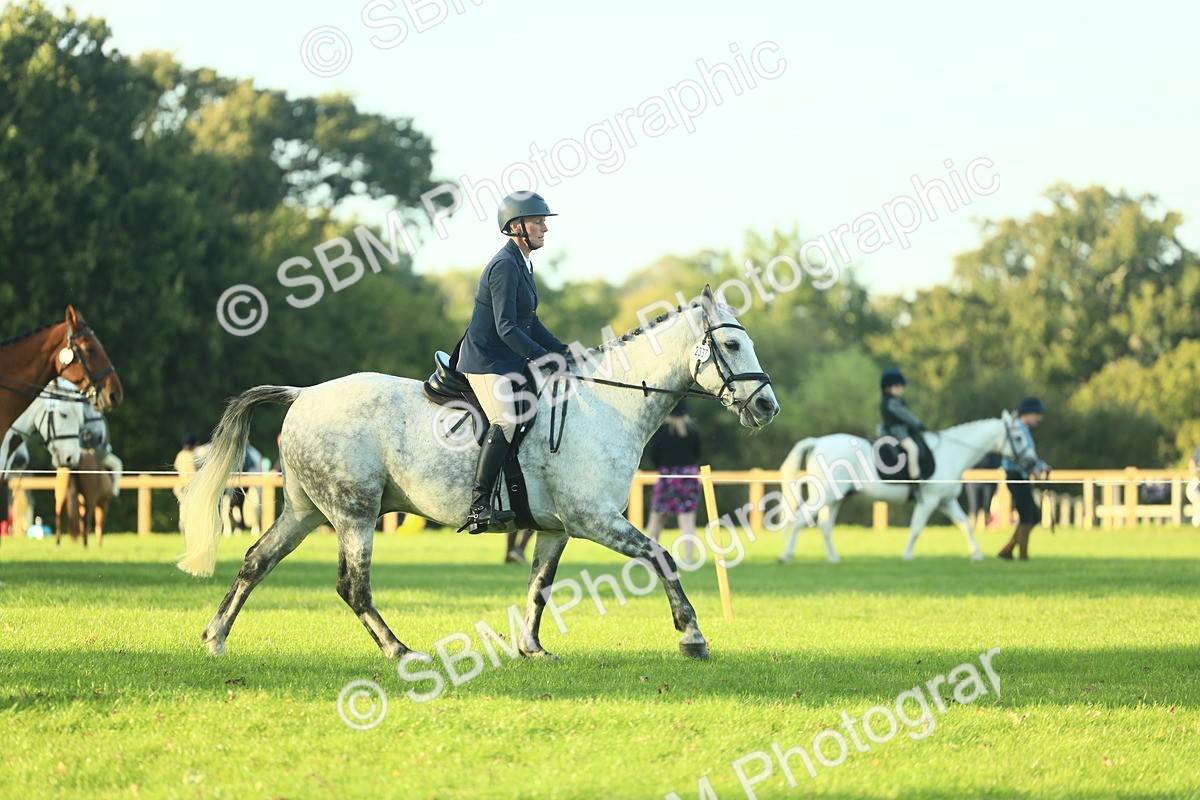 SBM_55514 - S14 - Riding Club Horse