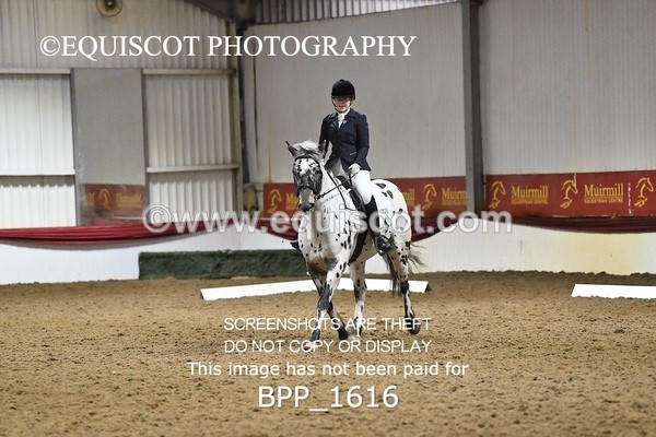 BPP_1616 - PC GRASSROOTS DRESSAGE