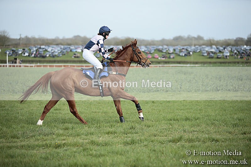 PtP 230319 317 - VWH Hunt Siddington Point-to-Point Racing 23/03/19