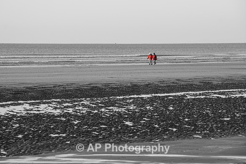 ACP06492-1 - Ynyslas
