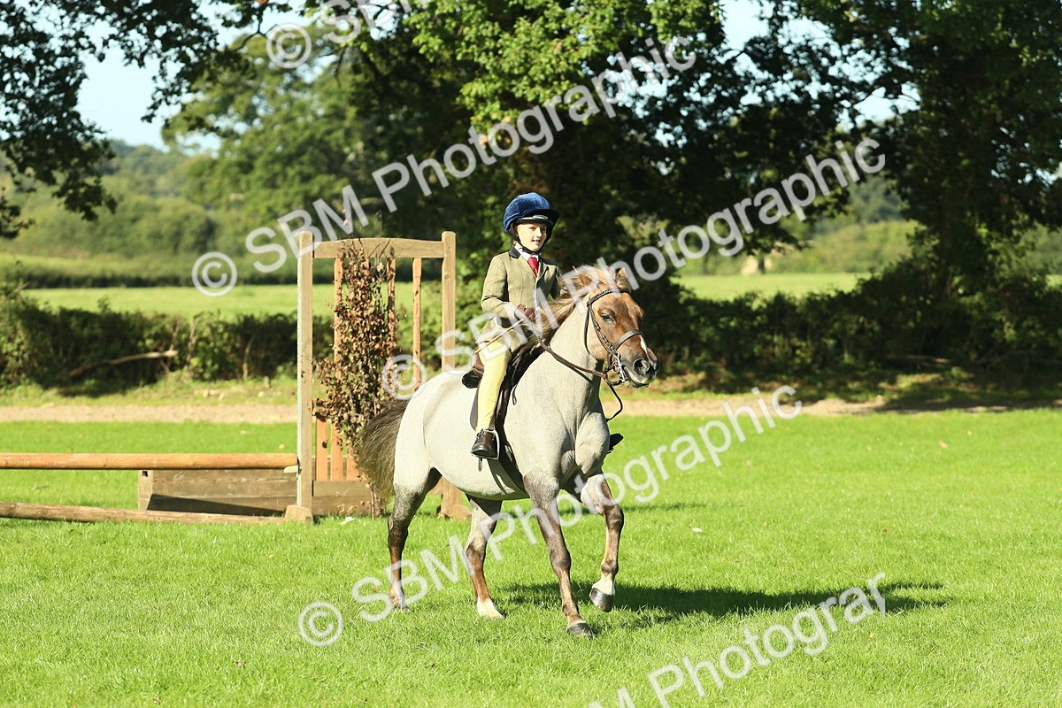 SBM_36447 - S29 - Novice & Newcomers Working Hunter Pony