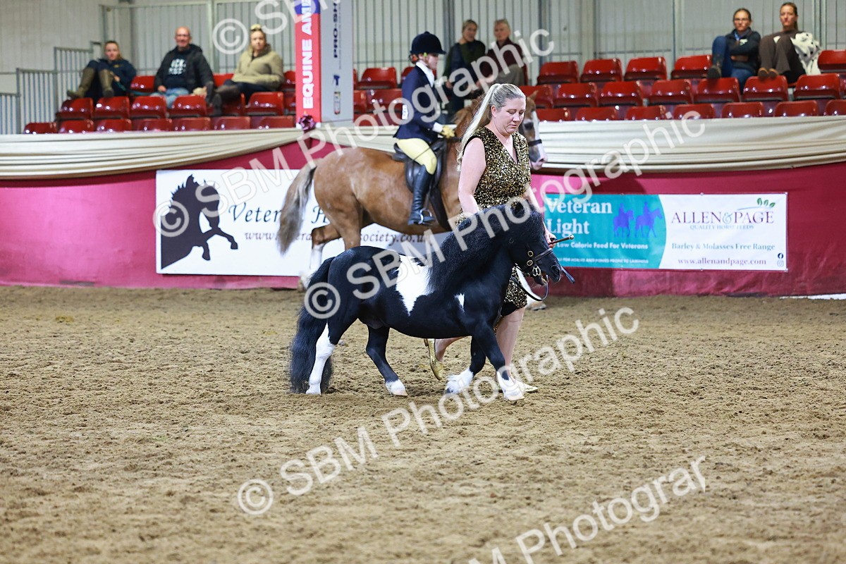 SBM_15241 - Class P - M&M Champ