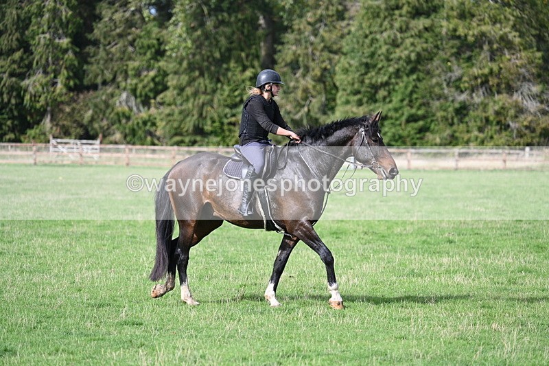 WJ7_9871 - Time 13:13 to 13:55