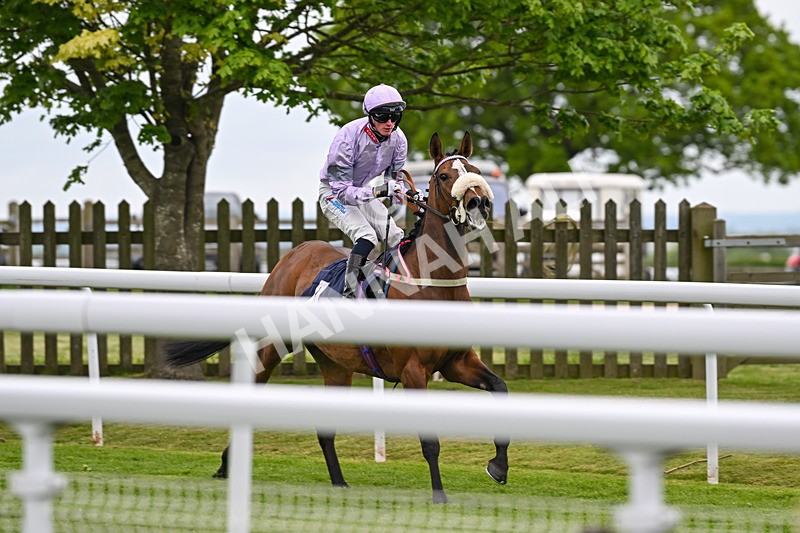 050525-Race 4-Vixey-4712 - Race 4