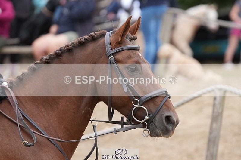 250820A-113305-04301 - Round 2, 10.45 to 11.45 Break