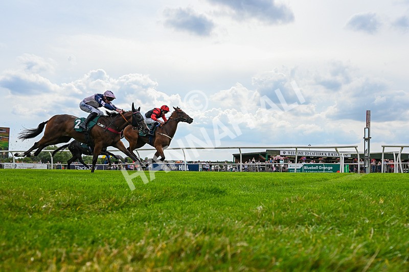 260826-Race 1-Mugheer-5909 - Race 1 14:15 Yorkshire Dales Distillery / EBF Restricted Maiden Stakes