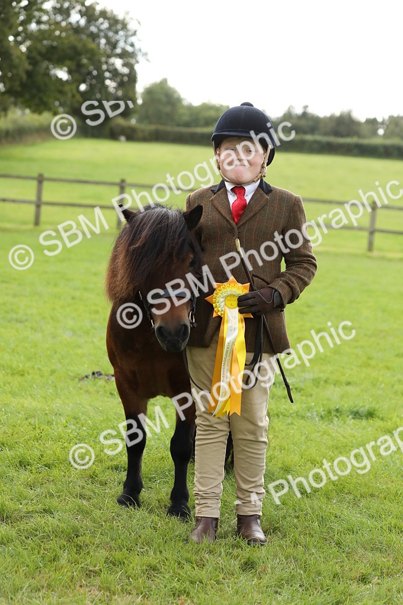 SBM_62865 - S46 - Mountain & Moorland In Hand Small Breeds