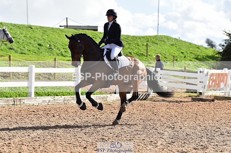 231014A-141108-05236 - Cls 15 1.05m Amateur Q 2nd R