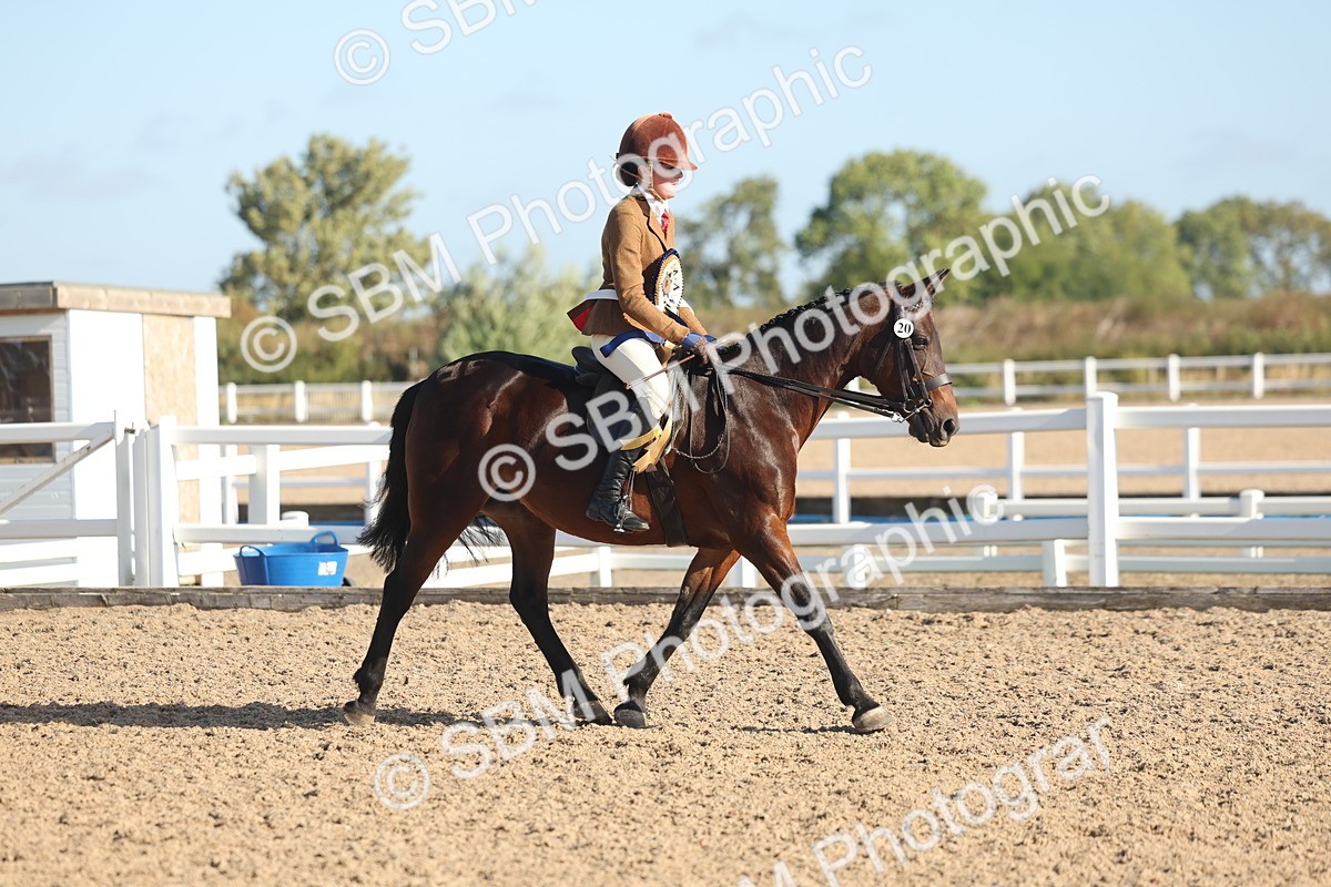 SBM_22155 - Class 801 - Ridden Veterans