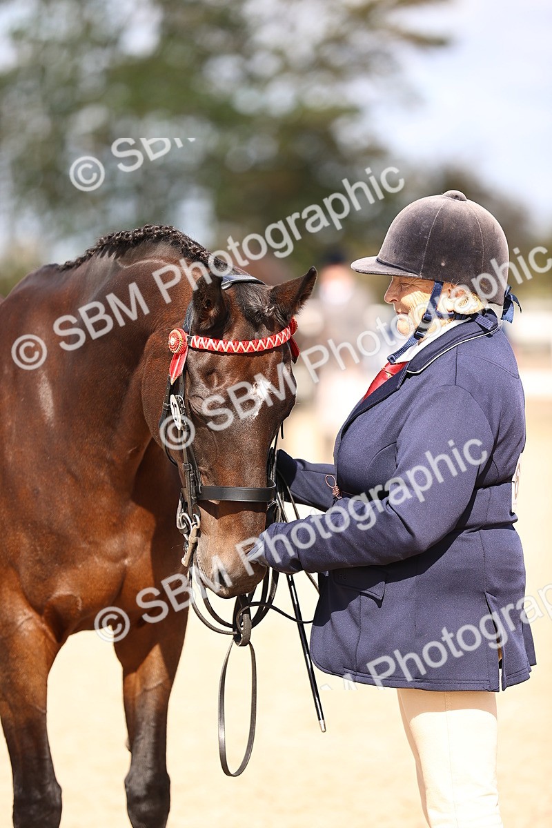 SBM_11524 - Class 407 - IH Hack-Riding Horse